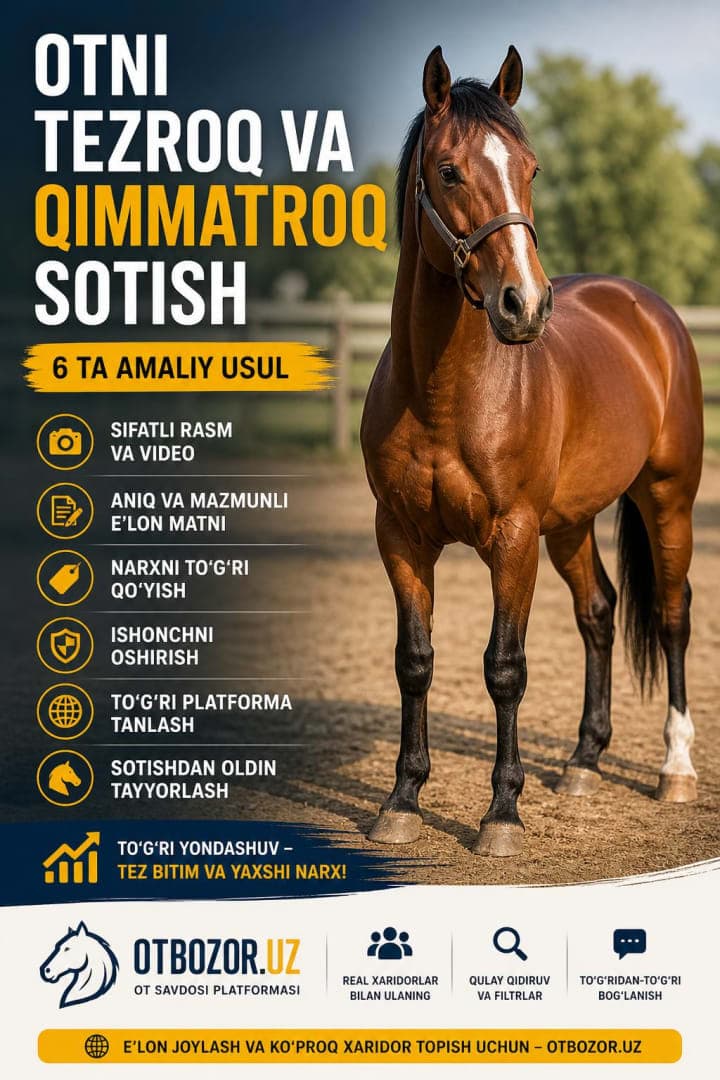 Otni tezroq va qimmatroq sotish: amaliy qo‘llanma